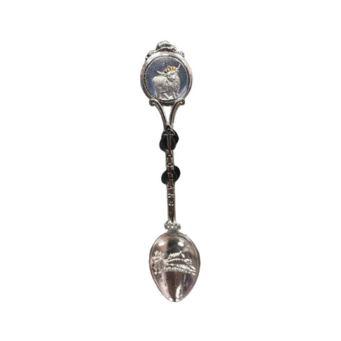 SPOON | CTY-SPN-004